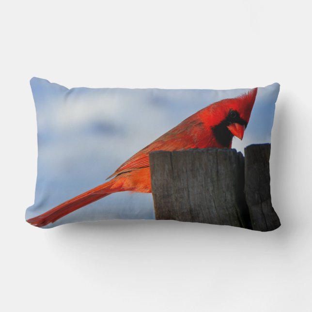 Coussin Rectangle Cardinal rouge sur la souche en bois (Recto)