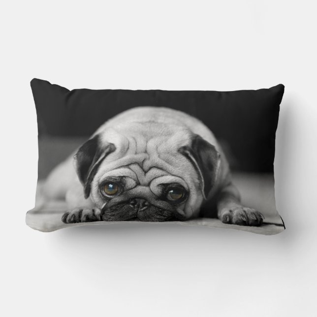 Coussin Rectangle Carlin triste (Recto)