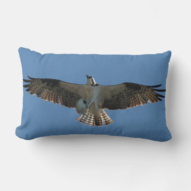 Coussin Rectangle Carreau d'animal de faune de poissons d'oiseau de (Recto)