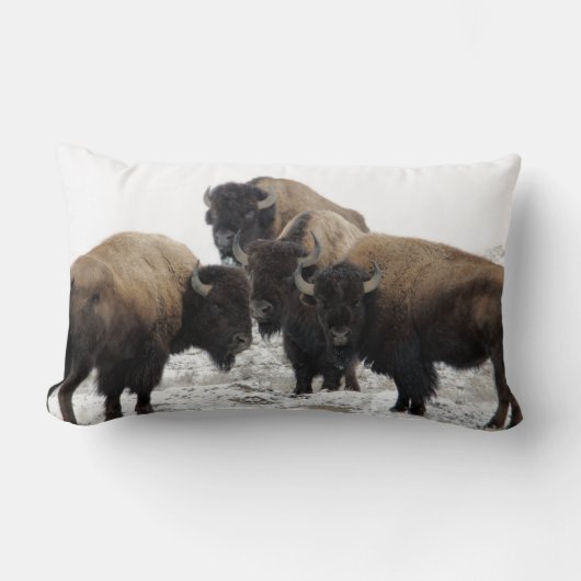Coussin Rectangle Carreau décoratif de bison de Buffalo (Recto)