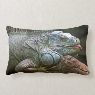 Coussin Rectangle Carreau d'iguane