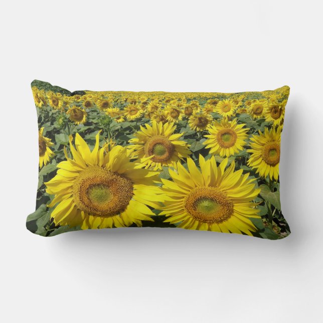 Coussin Rectangle Carreau ensoleillé de MoJo de tournesols (Recto)