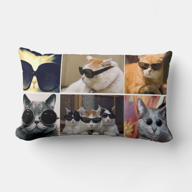 Coussin Rectangle Carreau frais de Lumbar de chats (Recto)