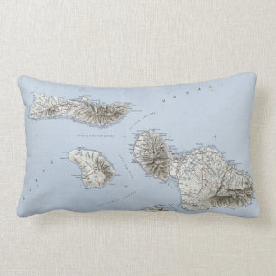 Coussin Rectangle Carte topographique vintage de Maui Hawaii