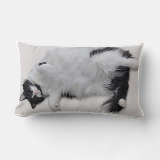 Coussin Rectangle Cat Pillow (Recto)
