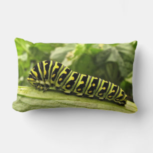 Coussin Rectangle Caterpillar noire