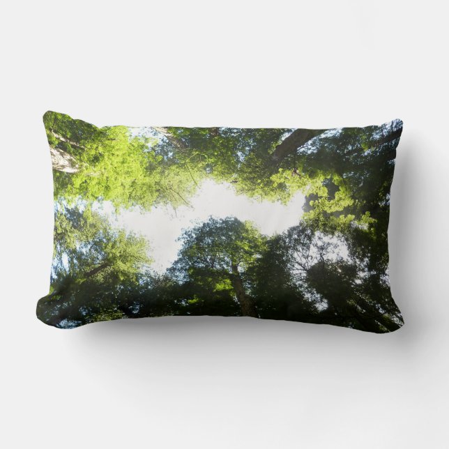 Coussin Rectangle Cercle de séquoias au parc national Redwood (Recto)