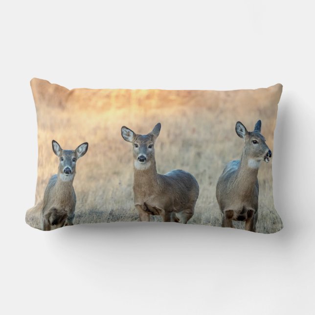 Coussin Rectangle Cerf dans un champ (Recto)
