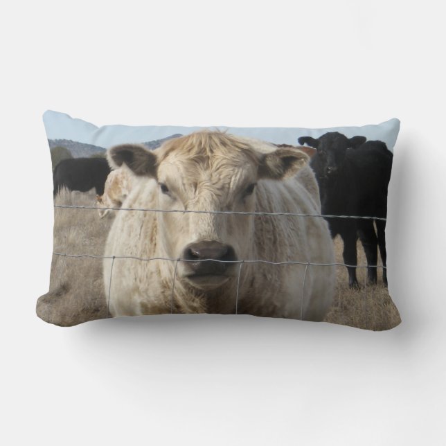 Coussin Rectangle C'est un rassemblement !  Scène rurale occidentale (Recto)