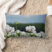 Coussin Rectangle Champ de fleurs, fleur de pavot somnifère. (Couverture)