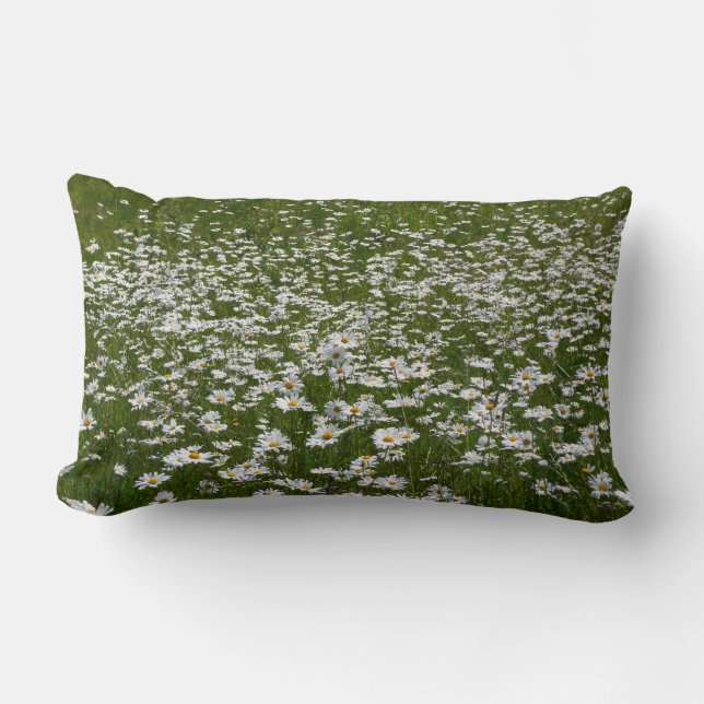 Coussin Rectangle Champ de marguerites Fleurs sauvages de l'Alaska (Recto)
