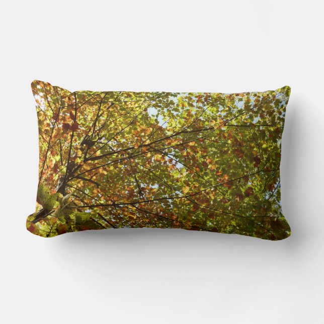Coussin Rectangle Changer la couleur verte et dorée de l'érable (Recto)