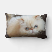 Coussin Rectangle Chat dans une boîte (Verso)