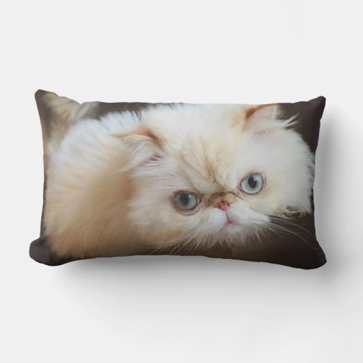 Coussin Rectangle Chat dans une boîte (Recto)