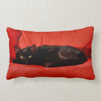 Chat Noir Edgar