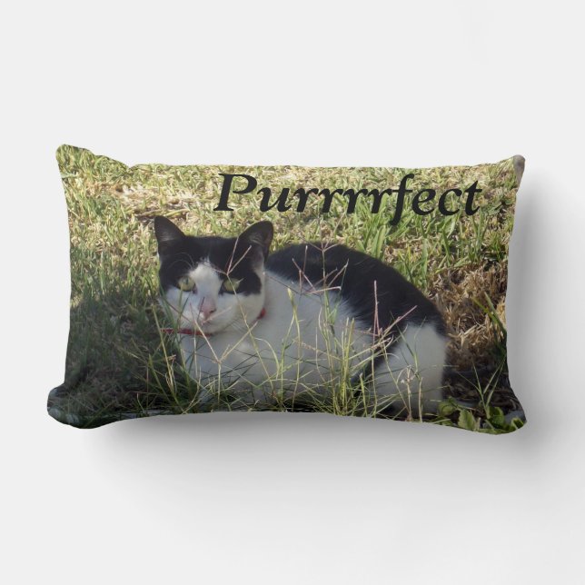 Coussin Rectangle Chat Noir Et Blanc, (Recto)