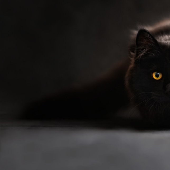 Coussin Rectangle chat noir mignon (Créateur téléchargé)