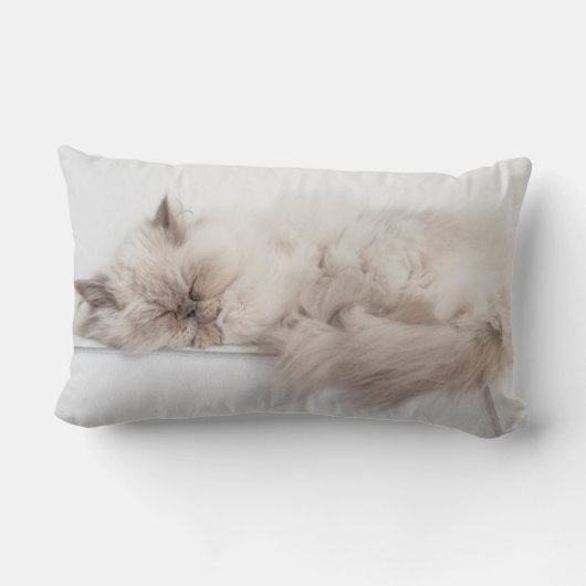 Coussin Rectangle Chat persan (Verso)