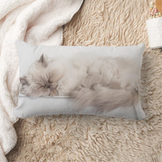 Coussin Rectangle Chat persan (Couverture)