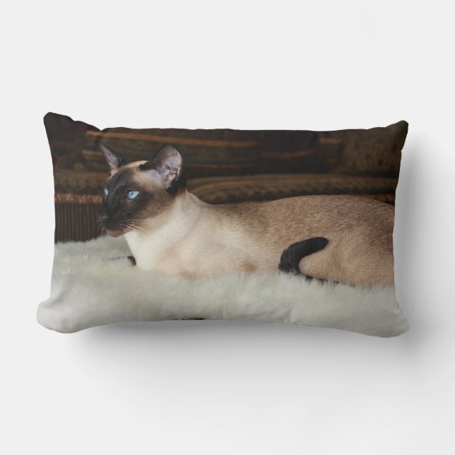 Coussin Rectangle Chat siamois élégant (Recto)