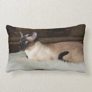 Coussin Rectangle Chat siamois élégant