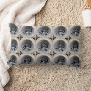 Coussin Rectangle Chat Sleepy Kitty par Shirley Taylor