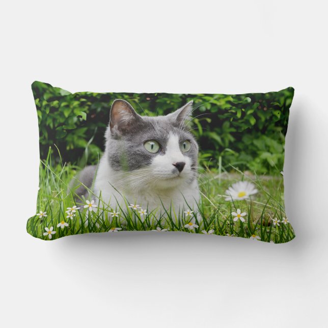 Coussin Rectangle Chat tuxedo gris et blanc et fleurs (Recto)