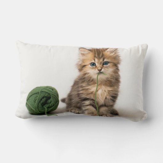 Coussin Rectangle Chaton avec le fil vert (Verso)