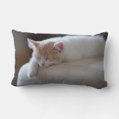 Coussin Rectangle Chaton beige et blanc fatigué (Verso)