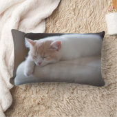 Coussin Rectangle Chaton beige et blanc fatigué (Couverture)