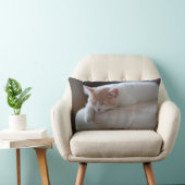 Coussin Rectangle Chaton beige et blanc fatigué (Chaise)