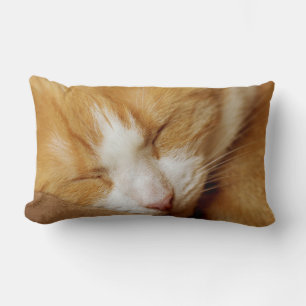 Coussin Rectangle Chaton couchant