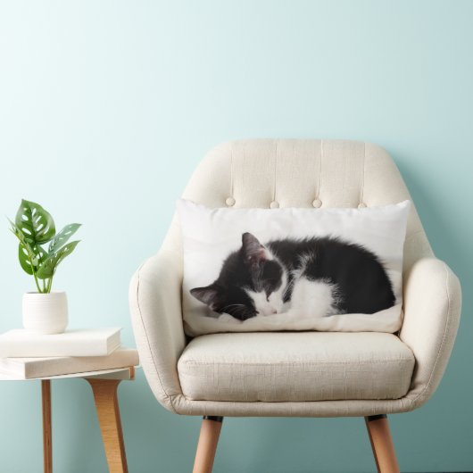 Coussin Rectangle Chaton de sommeil (Chaise)