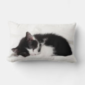 Coussin Rectangle Chaton de sommeil (Recto)