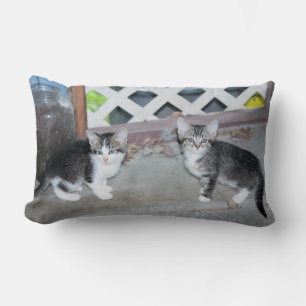 Coussin Rectangle Chatons