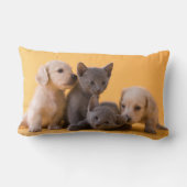 Coussin Rectangle Chatons et chiots bleus russes de teckel (Verso)