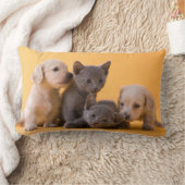 Coussin Rectangle Chatons et chiots bleus russes de teckel (Couverture)