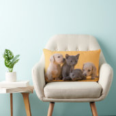Coussin Rectangle Chatons et chiots bleus russes de teckel (Chaise)