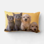Coussin Rectangle Chatons et chiots bleus russes de teckel (Verso)