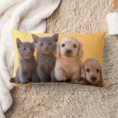 Coussin Rectangle Chatons et chiots bleus russes de teckel (Couverture)