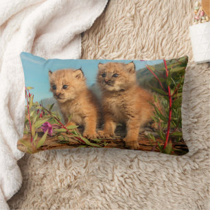 Coussin Rectangle Chatons Lynx Canadien, Alaska