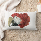 Coussin Rectangle Chef d'une Macaw (1725-1792) Aert Schouman (Couverture)