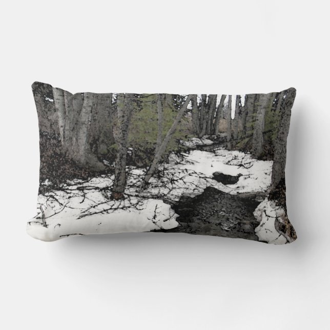 Coussin Rectangle Chester Creek Deux (Recto)