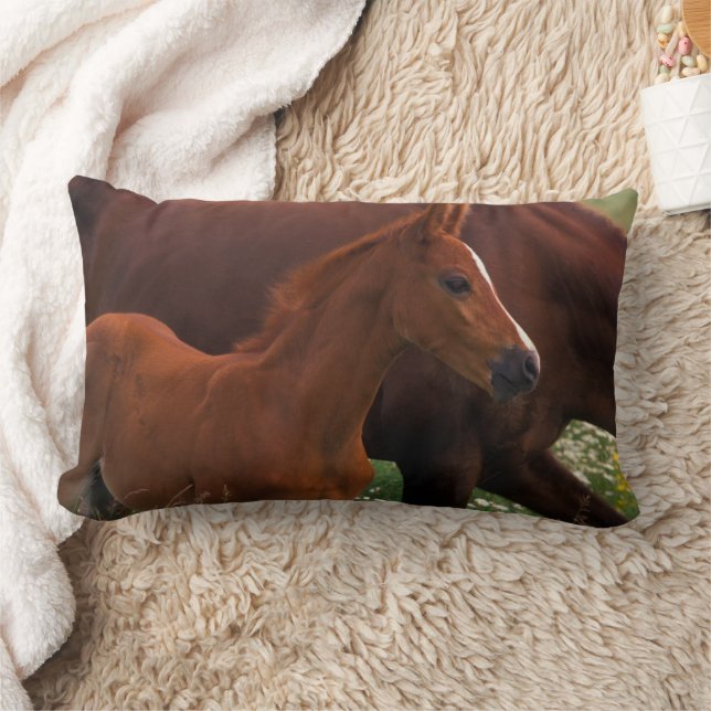 Coussin Rectangle Cheval Arabe près de Mère (Couverture)