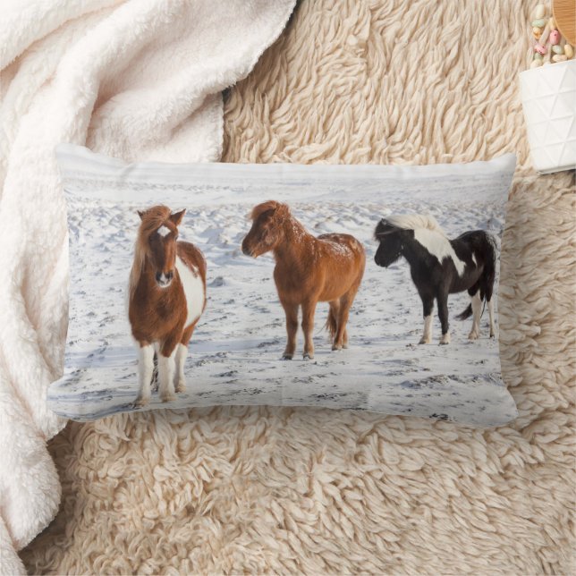 Coussin Rectangle Cheval islandais avec pelage d'hiver typique (Couverture)