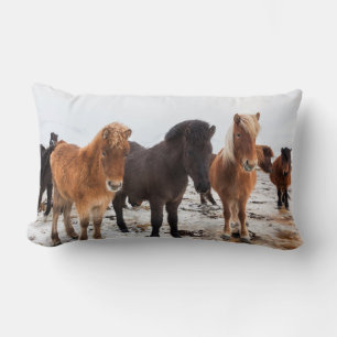 Coussin Rectangle Cheval islandais en hiver en Islande