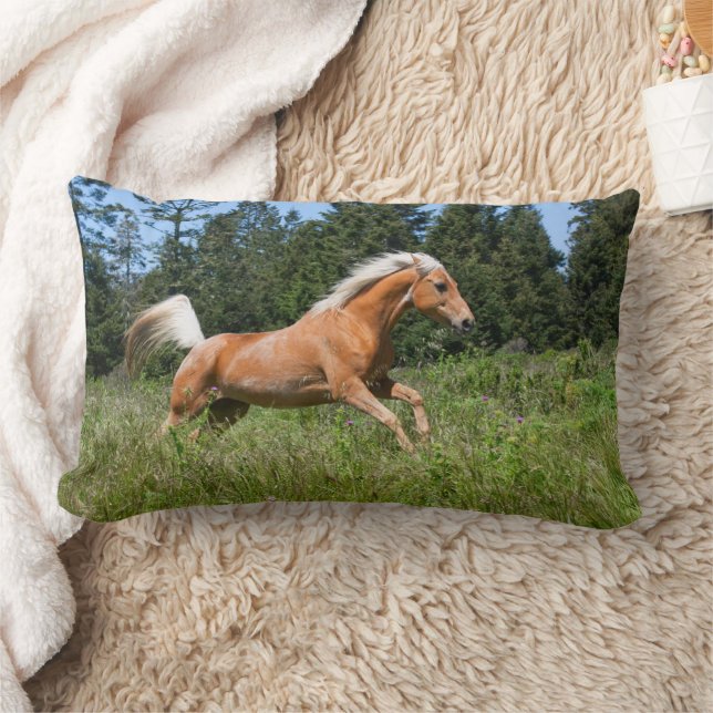 Coussin Rectangle Cheval Palomino traversant une prairie (Couverture)