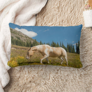 Coussin Rectangle Cheval sur herbes dans une prairie alpine en été