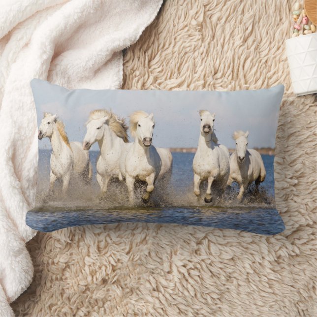 Coussin Rectangle Chevaux de Camargue (Couverture)