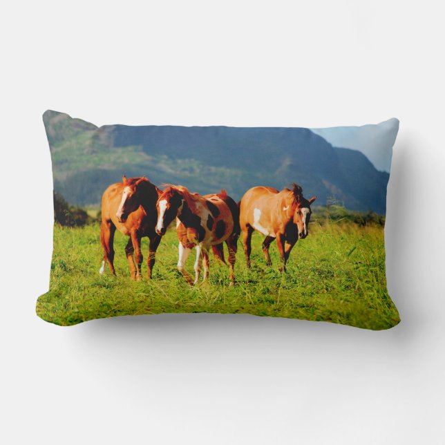 Coussin Rectangle Chevaux de Kapaa - Kauai Hawaï (Recto)